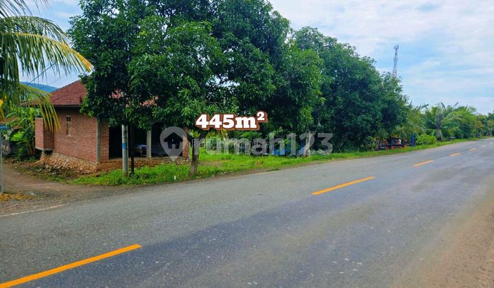 For Sale Strategic Land by Main Highway in Buleleng Bali