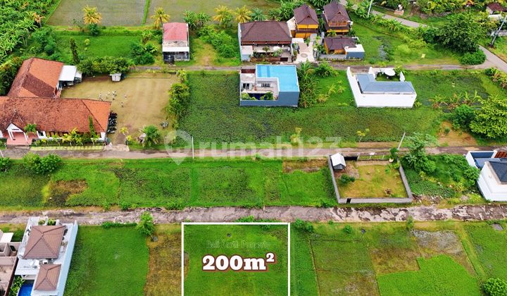 Premium Land For Sale In Central Lovina At The North Of Bali Premium Land For Sale In Central Lovina At The North Of Bali