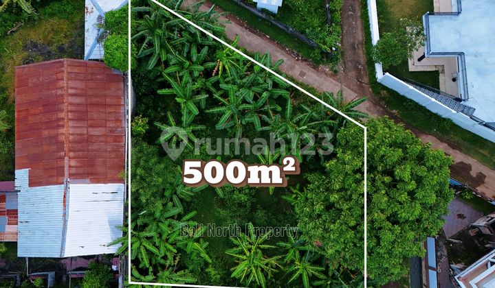 Premium Land For Sale In Lovina North Bali Premium Land For Sale In Lovina North Bali