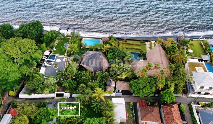 Premium Land For Sale In Lovina North Of Bali Premium Land For Sale In Lovina North Of Bali