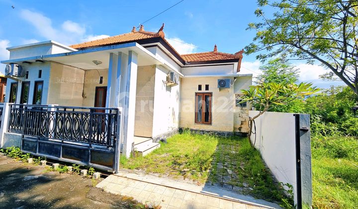 Dijual Rumah Murah Dekat Pantai Lovina Bali Utara