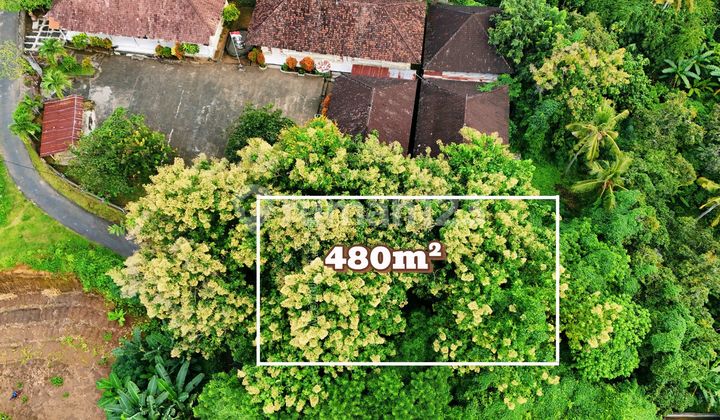 For Sale Land with Hill Views in North Bali