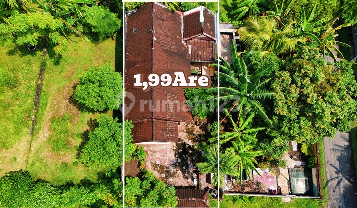 Rumah Strategis di Central Lovina Bali Utara