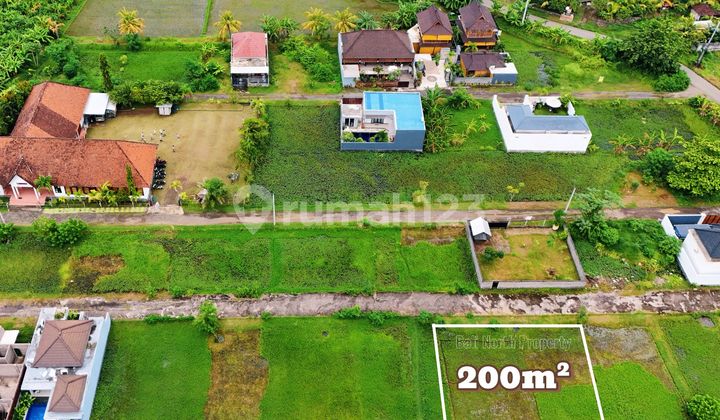 Premium Land For Sale In Lovina At The North Of Bali Premium Land For Sale In Lovina At The North Of Bali