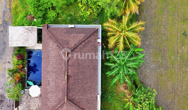 Exclusive Elegant Villa