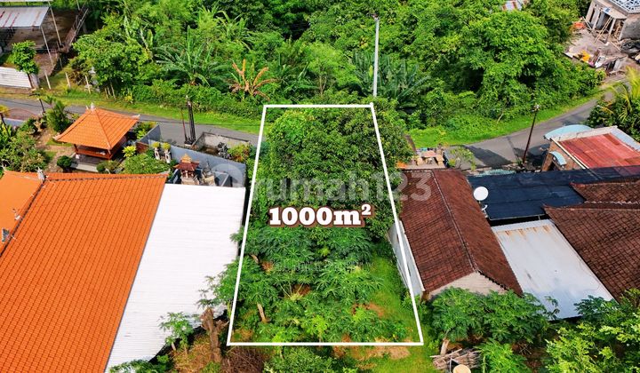 For Sale Strategic Land with Sea and Hill Views in North Bali