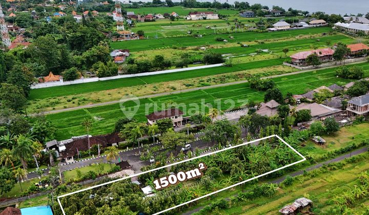 Premium Land For Sale In Central Lovina North Bali