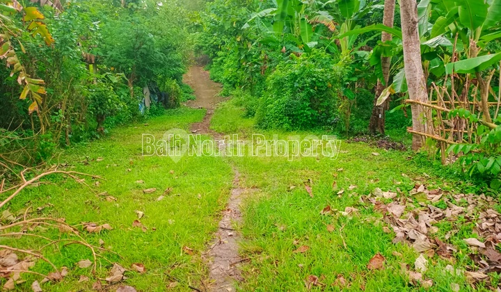 Tanah Premium For Sale Tanah Premium For Sale