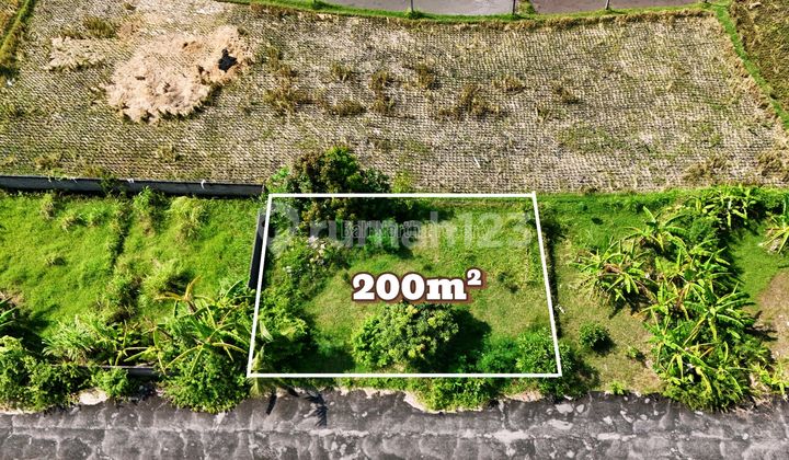 Premium Land For Sale In Lovina North Bali