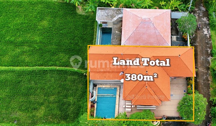 Dijual Rumah Premium Semi Villa di Lovina Bali Utara Dijual Rumah Premium Semi Villa di Lovina Bali Utara