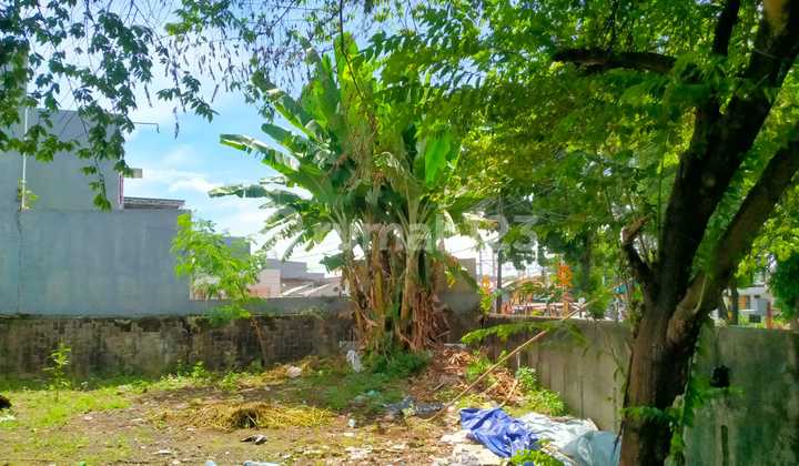 Tanah Menteng Harga Spesial, Peluang Langka! Tanah Menteng Harga Spesial, Peluang Langka!