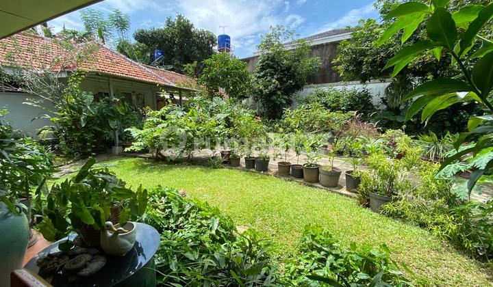 Very Rare Super Green Menteng House with Exclusive Aura
