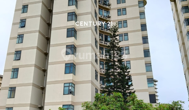 Turun Harga Lagi Apartemen Crowncourt Lippo Cikarang Luas