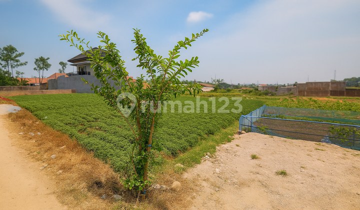 Hanya 2 Jt-Andapat Tanah untuk Kosan di Jatinangor Hanya 2 Jt-Andapat Tanah untuk Kosan di Jatinangor