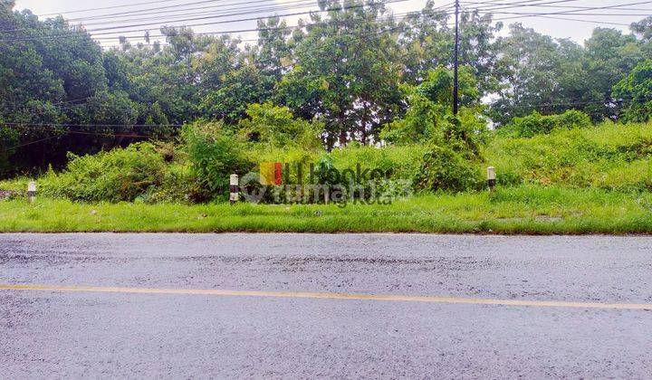Dijual Kavling di Tepi Jalan Weleri Kendal 3