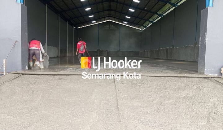 Disewakan Gudang  Di Banjardowo, Semarang Timur 756 M² Hgb 1