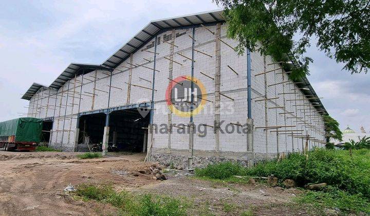Gudang Di Randugarut 1
