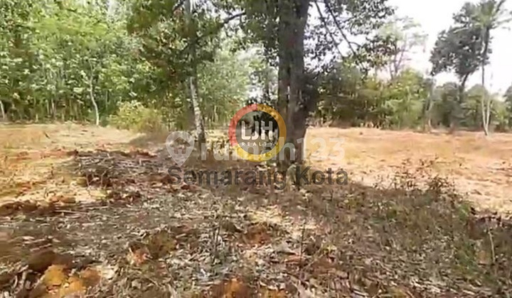 Kavling Di Mlonggo, Jepara Kavling Di Mlonggo, Jepara