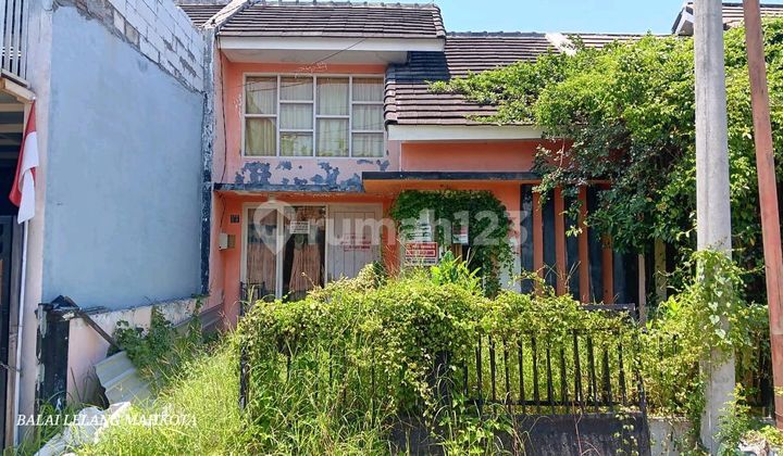 Empty Auction Golden Berry Menganti Gresik