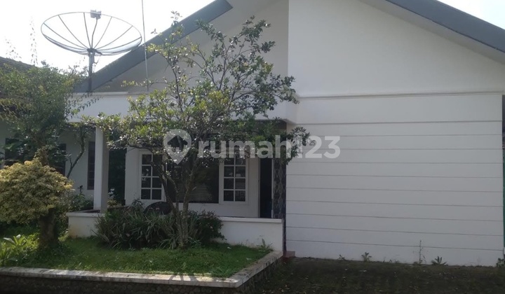 Villa 799Jt Mewah Sejuk Luas Cipanas Puncak Kota Bunga Cianjur Indo Alam
