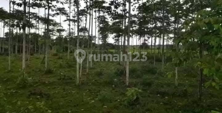 Jual Tanah, 32,5M Zona Industri Cikande Serang