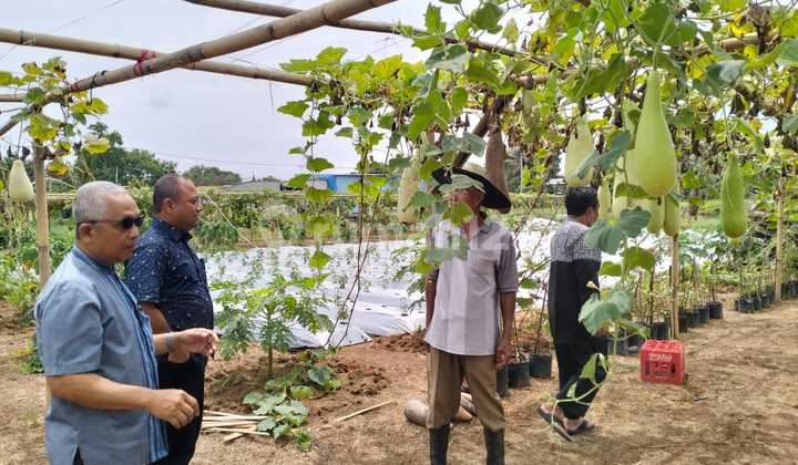 Tanah, SHM, di Tigaraksa, Pinggir Jalan di Daerah yang Berkembang Pesat,Cocok untuk Area Komersil