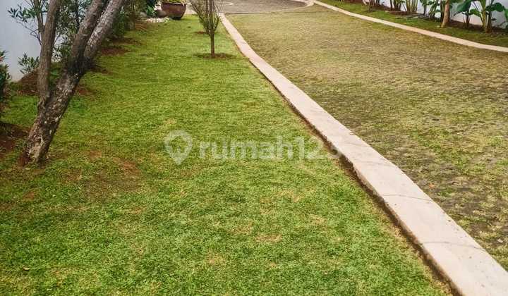 Rumah di Jagakarsa Ragunan Pintu Belakang Luas. 0156 2
