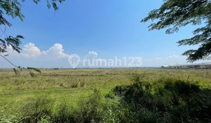 Tanah di Jalan Raya Kanci,,Sebelah Kanan Jalan Dari Arah Cirebon
