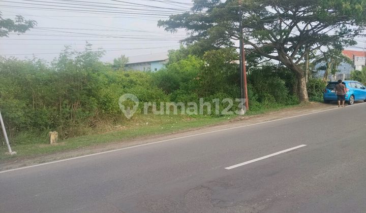 Jual Tanah di Kapetakan Cirebon Jual Tanah di Kapetakan Cirebon