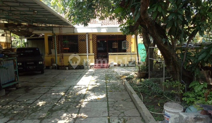 Rumah Asri dan Strategis di Jl Suratno 2