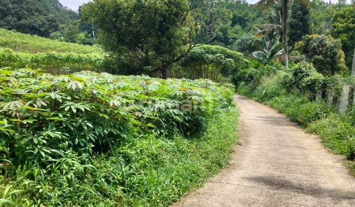 Tanah Luas 1 Hektar Area Megamendung Bogor, Hanya 150Rb/M² Tanah Luas 1 Hektar Area Megamendung Bogor, Hanya 150Rb/M²