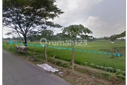 Dijual Murah Tanah Industri Siap Bangun di Cikarang Siap Bangun