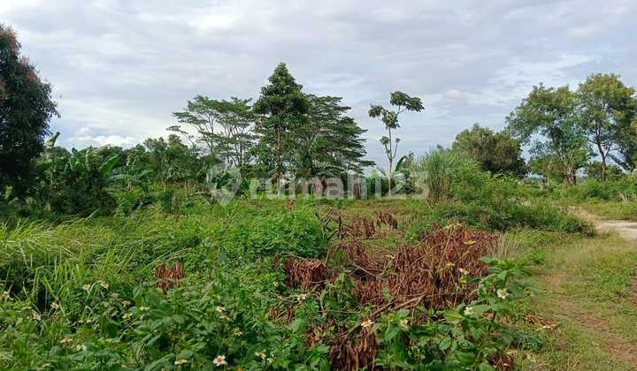 Land for Sale Near Toll Gate and Tourist City, Ciangsana, Gunung Putri