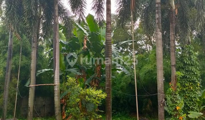Turun Harga Rumah Harga di Bawah NJOP di Pasar Minggu Bagus SHM Harga di Bawah NJOP
