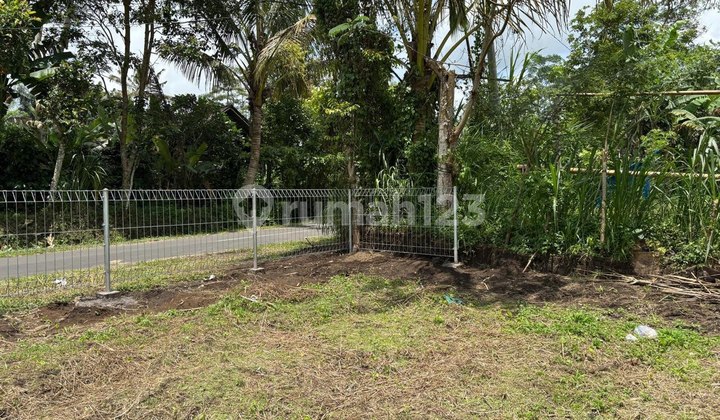 Kavling SHM Siap Pakai Dekat dengan Resort di Ubud, Bali Kavling SHM Siap Pakai Dekat dengan Resort di Ubud, Bali