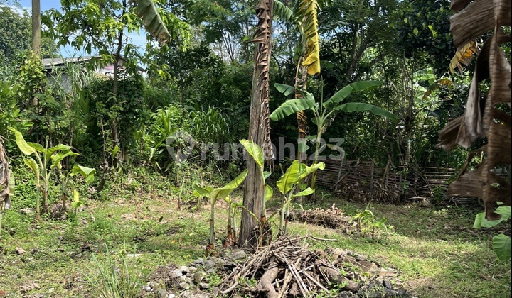 Tanah Joyo Grand Cocok untuk Hunian Tanah Joyo Grand Cocok untuk Hunian