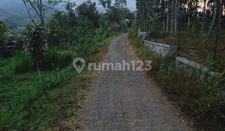 Dijual Tanah Junrejo Batu Dijual Tanah Junrejo Batu