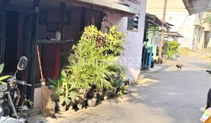 Rumah Dijual Murah Dekat Sekolah Global Prima | Pusat Kota Medan