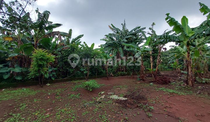 Tanah Strategis Daerah Margonda Area Gunadarma Cocok Kosan Tanah Tanah Strategis Daerah Margonda Area Gunadarma Cocok Kosan Tanah