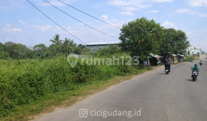 Jual Cepat! Lahan 1Ha Dekat Akses Tol Balaraja Jual Cepat! Lahan 1Ha Dekat Akses Tol Balaraja