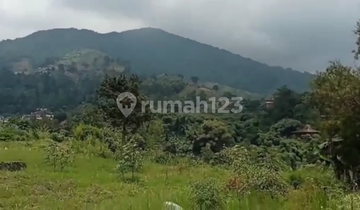 Lahan 3500 M2 View Alam Pinggir Jalan di Puncak Lahan 3500 M2 View Alam Pinggir Jalan di Puncak