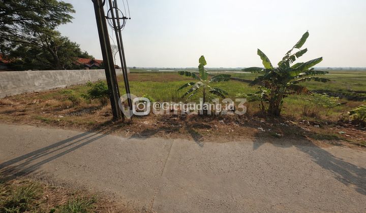 Lahan 3Rb Meter SHM Tepi Sawah, Cocok untuk Komersil