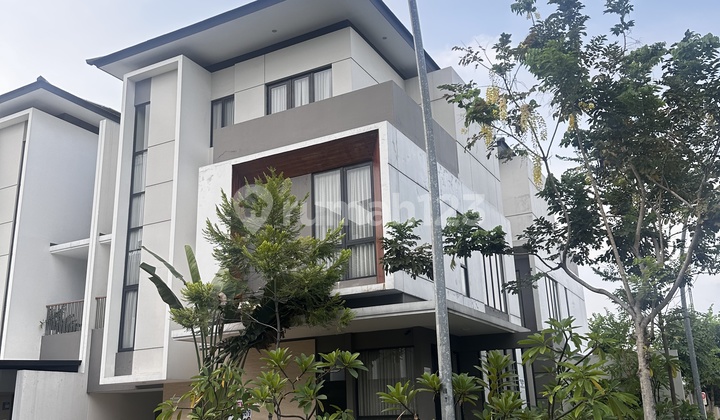 Unit Hoek Langka Masih Gress di Cluster Elite Asya