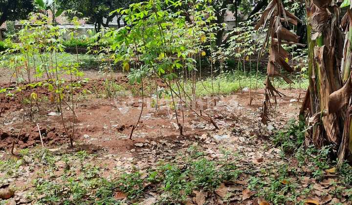 Tanah Strategis di Cileungsi Dekat Perumahan