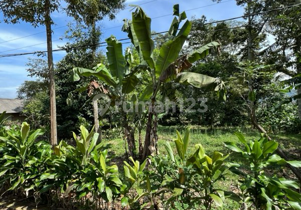 Tanah Lokasi Strategis Pinggir Jalan di Jalan Cagak Subang Tanah Lokasi Strategis Pinggir Jalan di Jalan Cagak Subang