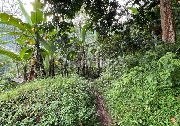 Strategic Land by the Roadside on Jalan Cagak, Kumpay Village, Subang.