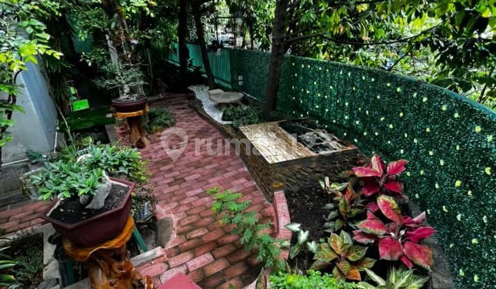 Beautiful Minimalist Ready-to-Occupy House in Kayu Putih