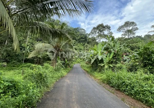 Strategic Land by the Roadside Next to Subang Hot Springs Tourism