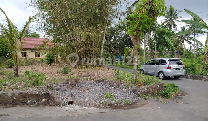 Mangku Jalan Aspal 8 Menit ke Kopi Klotok Yogyakarta