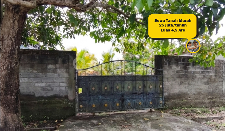 Sewa Tanah Murah di Tabanan Bali 4,5 Are, Akses 2 Mobil, Hanya 25 Juta/Tahun